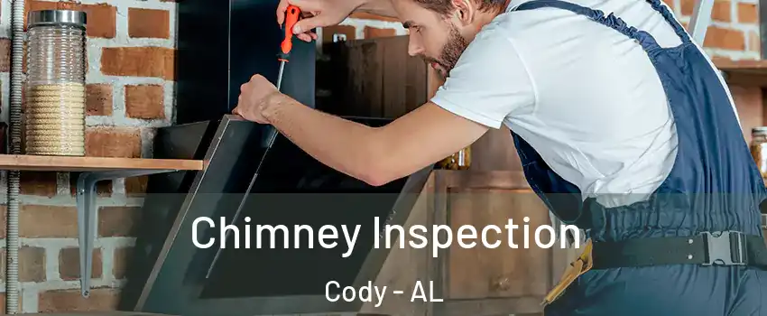 Chimney Inspection Cody - AL