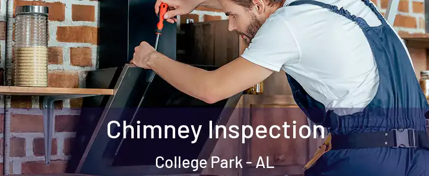 Chimney Inspection College Park - AL