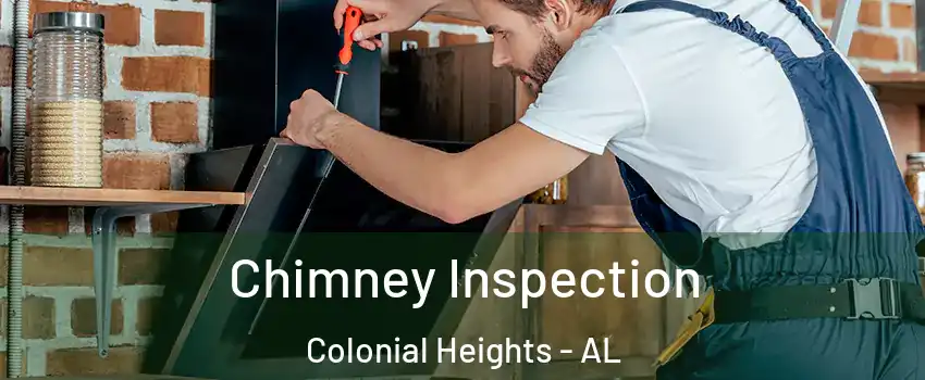 Chimney Inspection Colonial Heights - AL