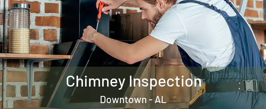 Chimney Inspection Downtown - AL