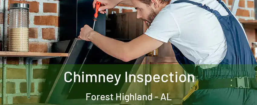 Chimney Inspection Forest Highland - AL