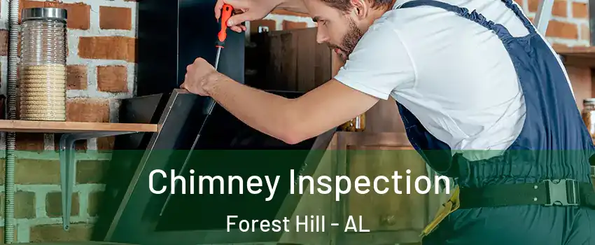 Chimney Inspection Forest Hill - AL