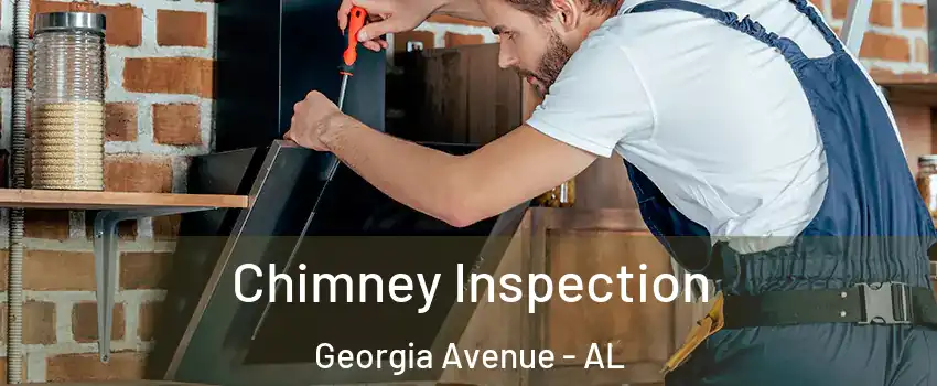 Chimney Inspection Georgia Avenue - AL