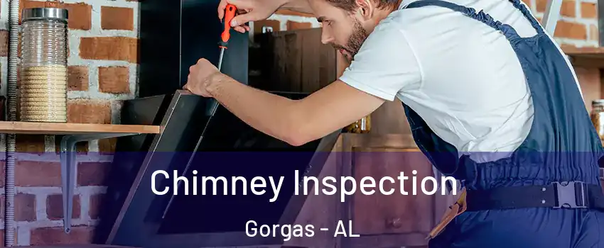 Chimney Inspection Gorgas - AL