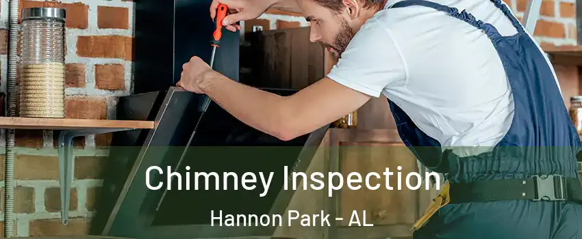 Chimney Inspection Hannon Park - AL