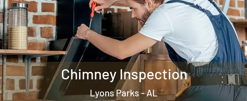 Chimney Inspection Lyons Parks - AL