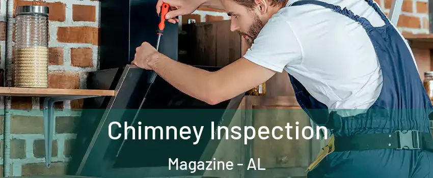Chimney Inspection Magazine - AL