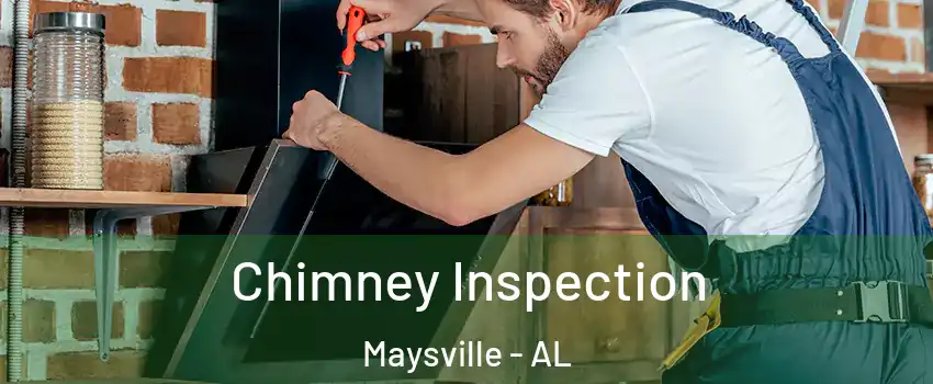 Chimney Inspection Maysville - AL