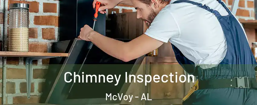 Chimney Inspection McVoy - AL