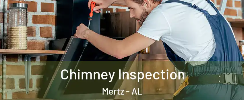 Chimney Inspection Mertz - AL