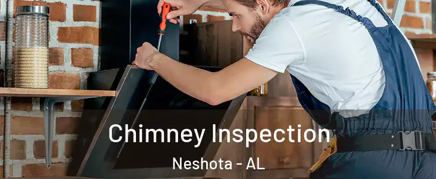 Chimney Inspection Neshota - AL