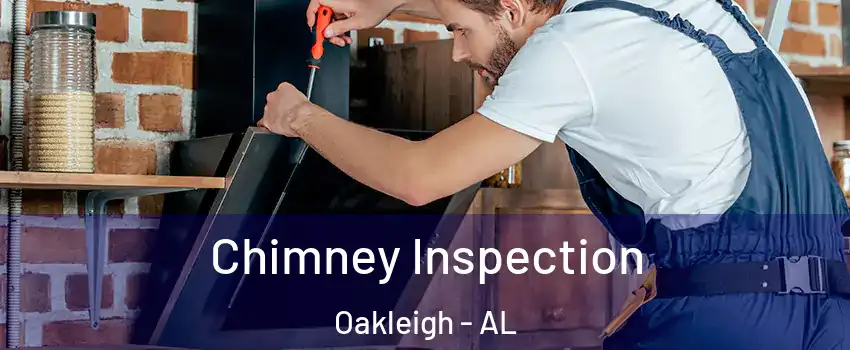 Chimney Inspection Oakleigh - AL