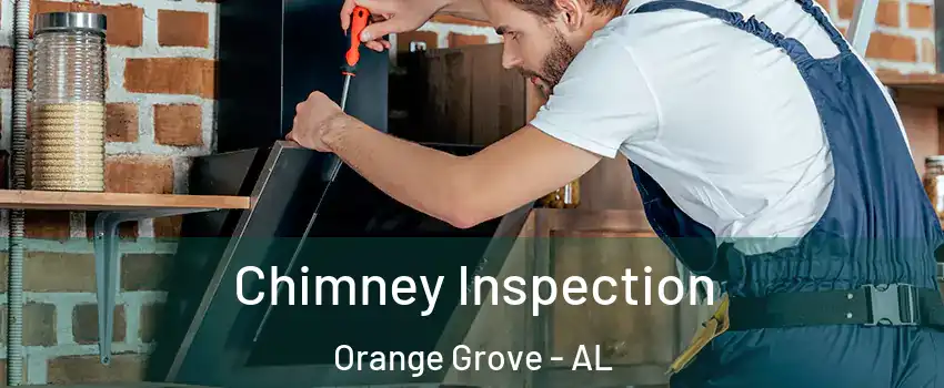 Chimney Inspection Orange Grove - AL