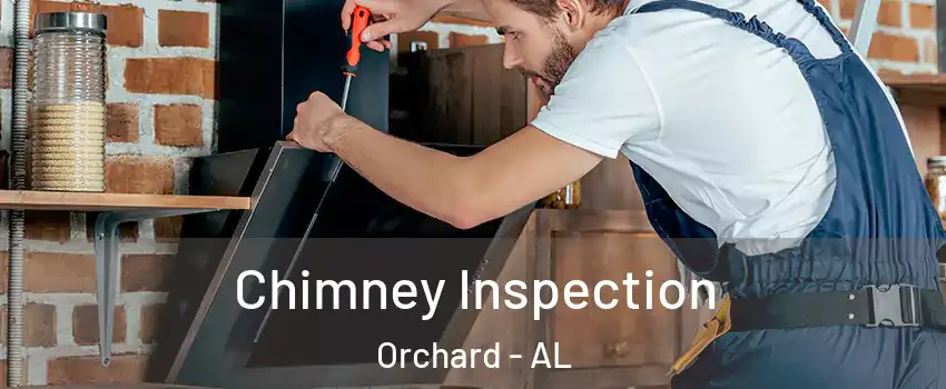 Chimney Inspection Orchard - AL