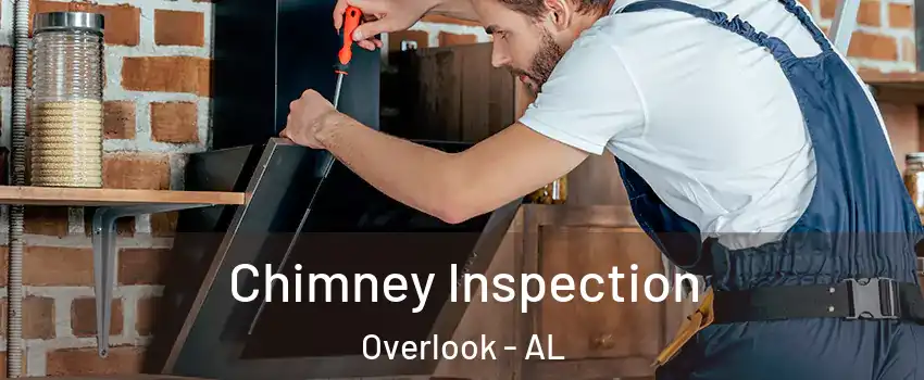 Chimney Inspection Overlook - AL