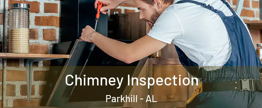 Chimney Inspection Parkhill - AL
