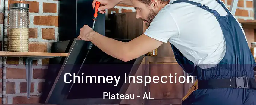 Chimney Inspection Plateau - AL