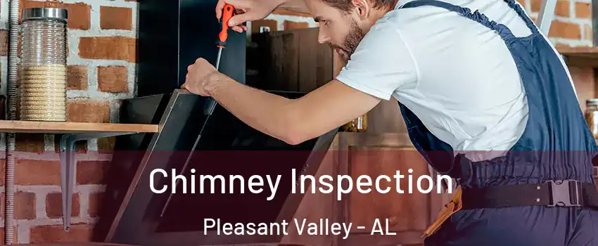 Chimney Inspection Pleasant Valley - AL