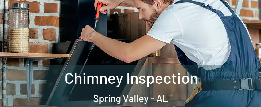 Chimney Inspection Spring Valley - AL