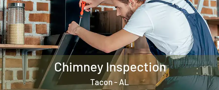 Chimney Inspection Tacon - AL