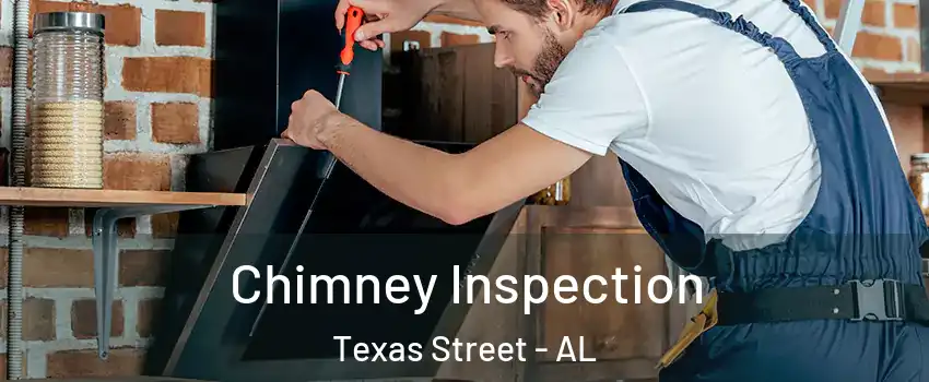 Chimney Inspection Texas Street - AL