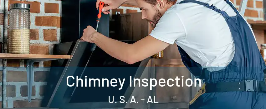 Chimney Inspection U. S. A. - AL