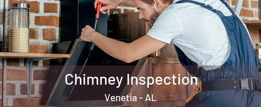 Chimney Inspection Venetia - AL