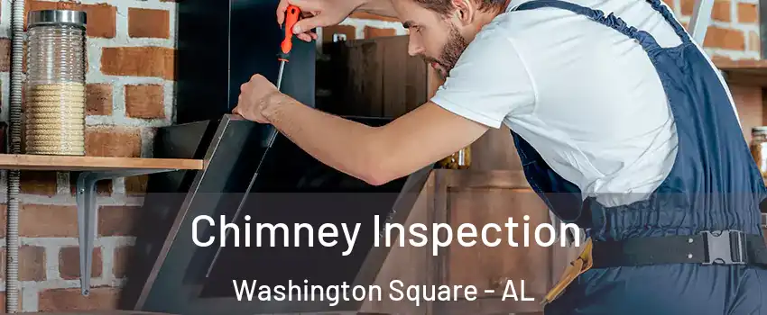 Chimney Inspection Washington Square - AL