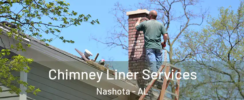 Chimney Liner Services Nashota - AL