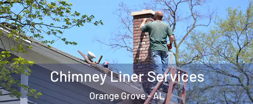 Chimney Liner Services Orange Grove - AL