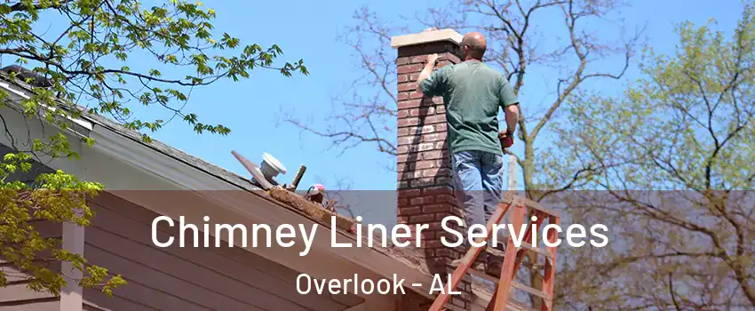 Chimney Liner Services Overlook - AL