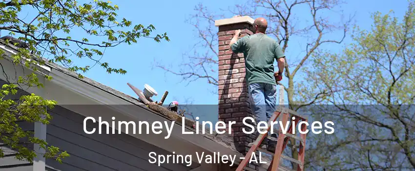 Chimney Liner Services Spring Valley - AL