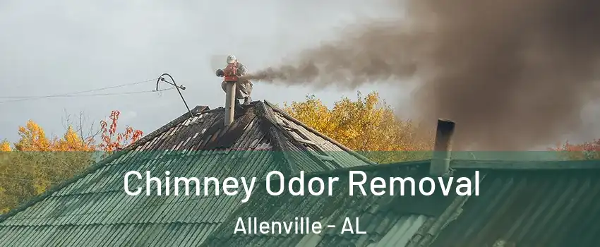 Chimney Odor Removal Allenville - AL