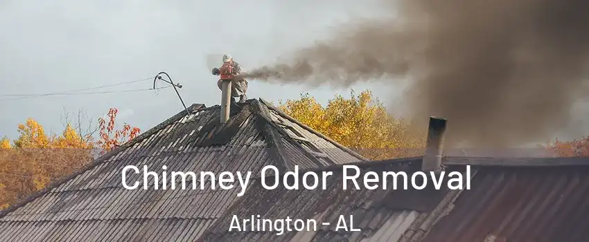Chimney Odor Removal Arlington - AL