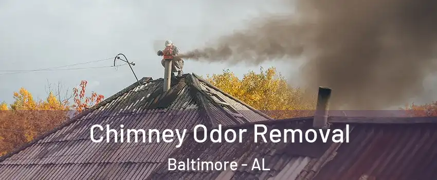 Chimney Odor Removal Baltimore - AL