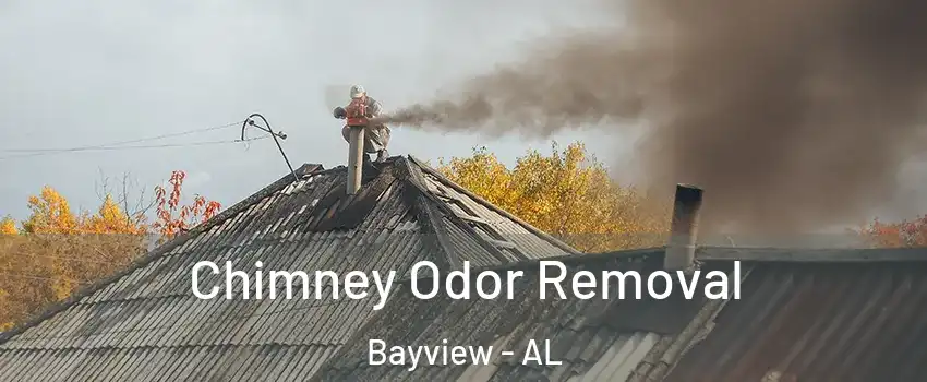 Chimney Odor Removal Bayview - AL