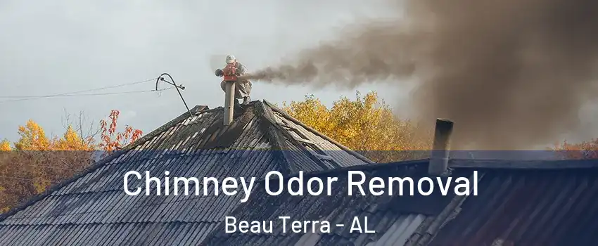 Chimney Odor Removal Beau Terra - AL
