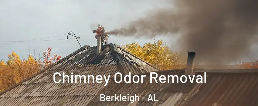 Chimney Odor Removal Berkleigh - AL