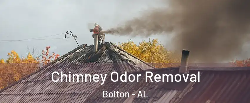 Chimney Odor Removal Bolton - AL