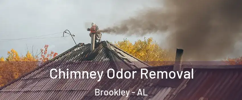 Chimney Odor Removal Brookley - AL