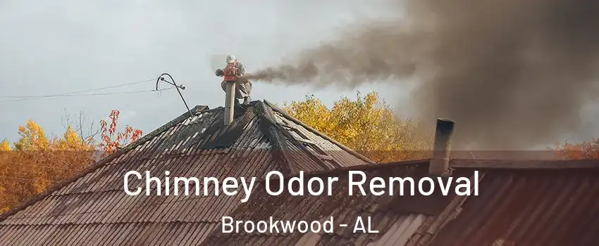 Chimney Odor Removal Brookwood - AL