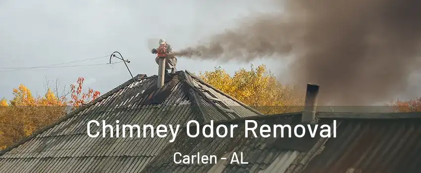 Chimney Odor Removal Carlen - AL