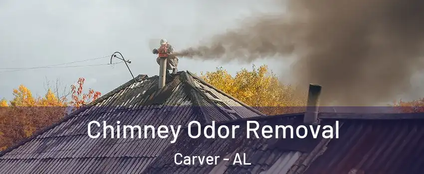 Chimney Odor Removal Carver - AL