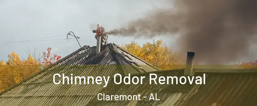 Chimney Odor Removal Claremont - AL