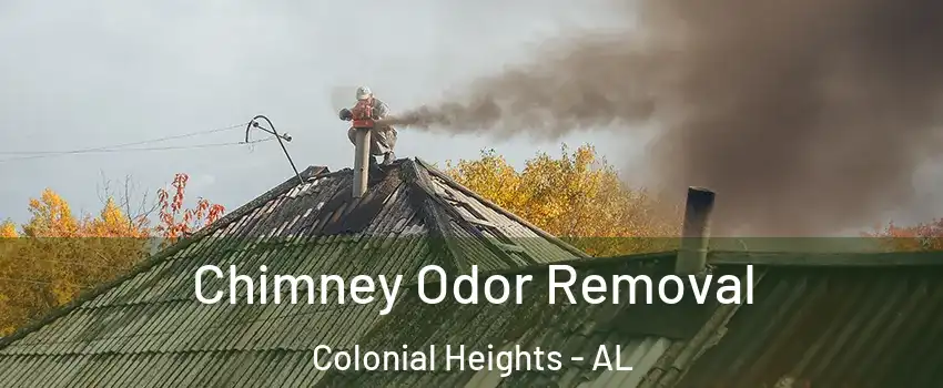 Chimney Odor Removal Colonial Heights - AL