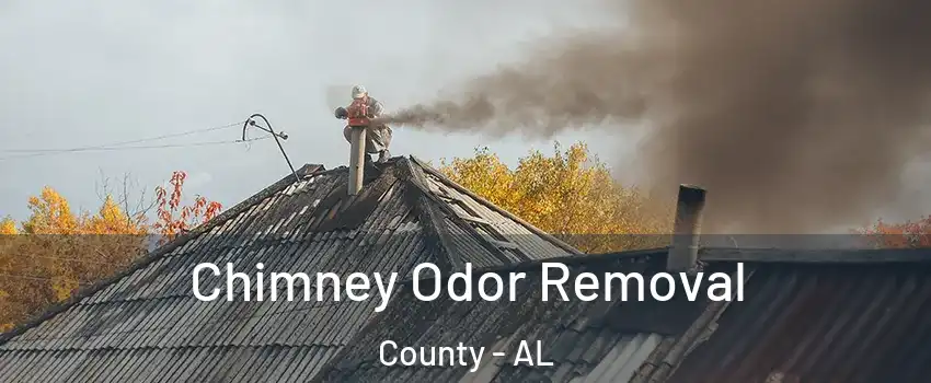 Chimney Odor Removal County - AL