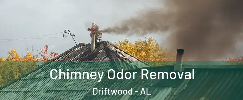 Chimney Odor Removal Driftwood - AL