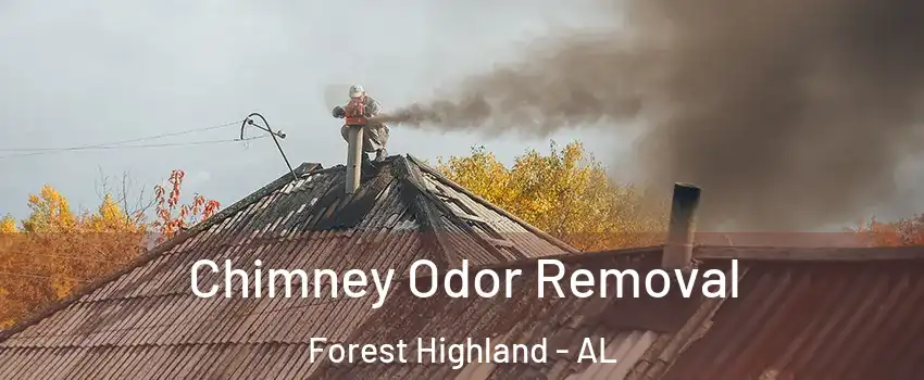 Chimney Odor Removal Forest Highland - AL