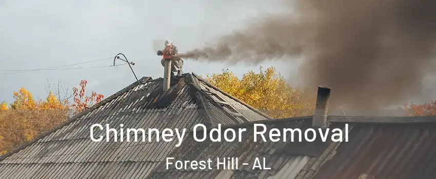 Chimney Odor Removal Forest Hill - AL