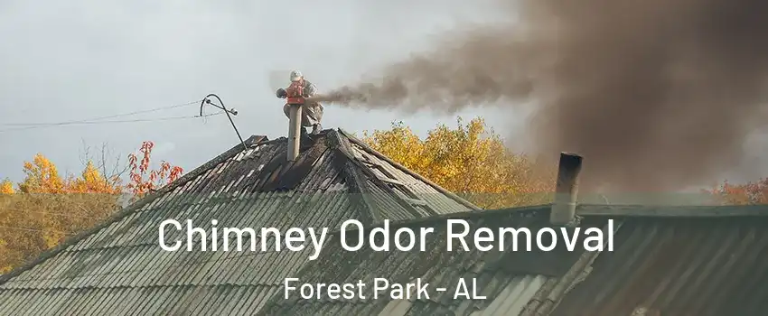 Chimney Odor Removal Forest Park - AL